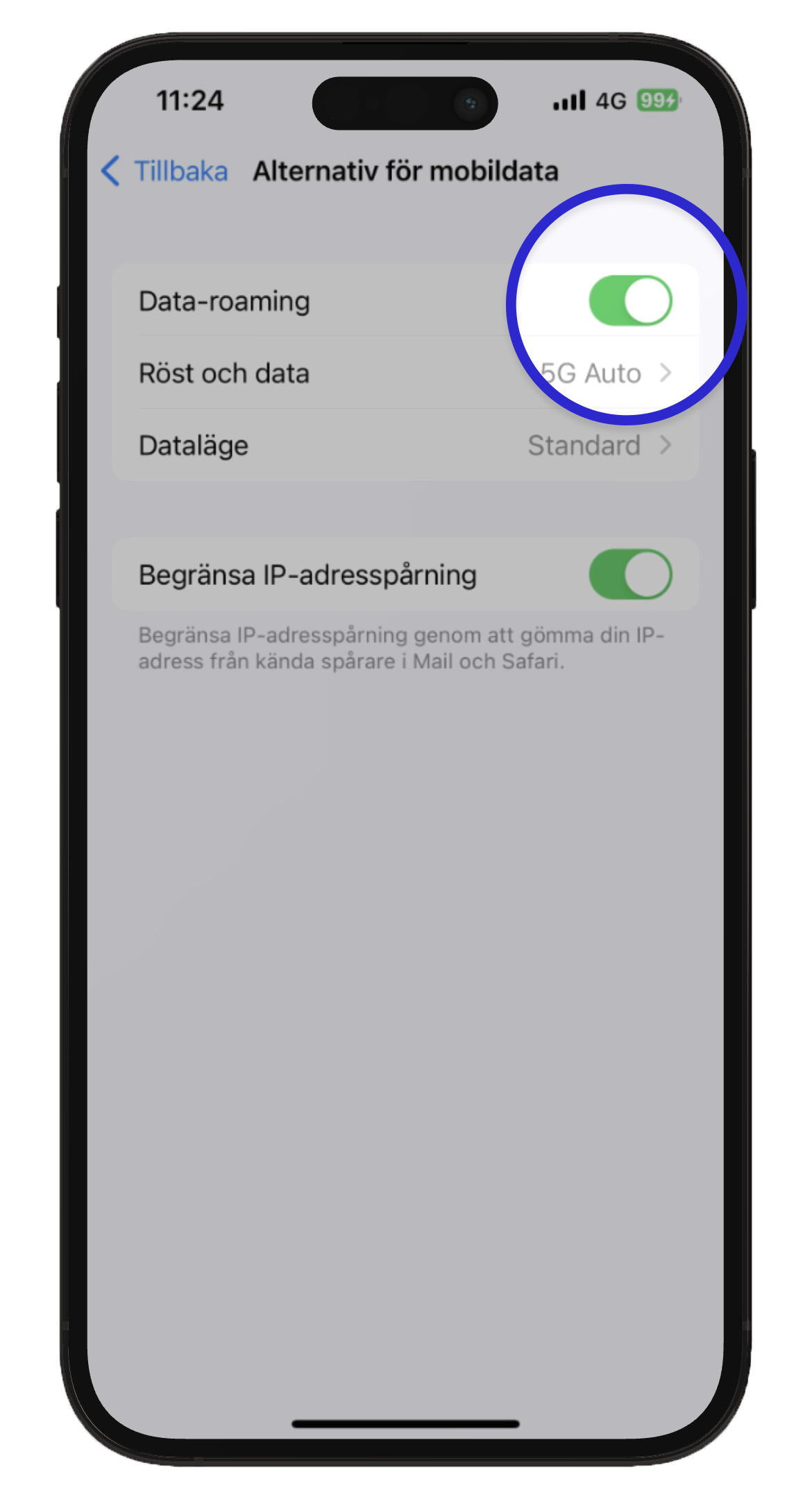 ios-aktivera-roaming-2.jpg